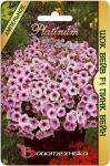 Петуния каскадная Шок Вейв F1 Пинк Вейн