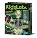 NEW Юный врач. Скелет человека 4М