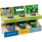 Набор эфирных масел С легким паром (пихта, можжевельник, эвкалипт)  3 масла по 15 мл Банные штучки /20