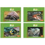 Альбом для рисования ACTION! ANIMAL PLANET, 24 л. , уф-лак, 4 дизайна
