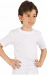 2007 Футболка для мальчика (тип ткани РИБАНА ) DOREA