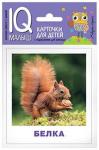 Серия: IQ-малыш. Умный малыш. Кто живёт в лесу? Набор карточек для детей.