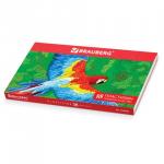 Пластилин классический BRAUBERG 18 цв., 360 г, со стеком, ВЫСШЕЕ КАЧЕСТВО, картонная упаковка, 103358