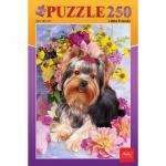 Пазл STANDARD 250 элементов, А3, Йоркширский терьер, 280*400мм, 250ПЗ3_09738(U135556)