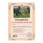 Грамота ШУТОЧНАЯ "Заслуженный бизнесмен" А4, мелованный картон, AB0000298, ш/к 22350