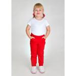 Брюки Саша (2-215)