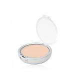 Компактная пудра PRO VISAGE