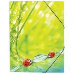 Папка на резинке Berlingo "Ladybird " А4, 550 мкм, ANp_01432