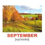 Карточки "Календарь"