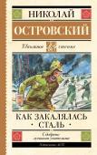 Островский Н.А. Как закалялась сталь