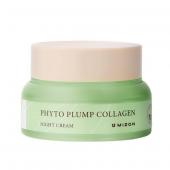 MIZON PHYTO PLUMP COLLAGEN Ночной крем для лица с фитоколлагеном, 50мл