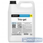 Средство для дезинфекции и отбеливания "Pro-Brite" Trio-gel, гель, канистра, 5000 мл 4 шт/кор РОССИЯ 067-5