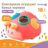 Развивающая, сенсорная игрушка «Божья коровка», цвет МИКС, Крошка Я