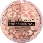 Stellary Контуринг для лица / Face sculptor / тон 02