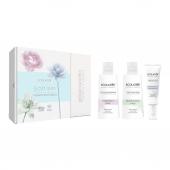 Подарочный набор Ecolatier "SOFT SKIN" (гель для умывания + тоник + крем для лица) 350мл