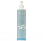 Tashe professional Тоник для склонной к жирности кожи головы Scalp tonic for oily skin (tsh87) 250мл