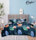 КПБ Candie's Home AB CANHAB163