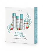 Набор OTIUM WINTERIA 4*