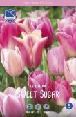 Тюльпан Свит Шуга смесь (Tulipa Sweet Sugar), 15 шт