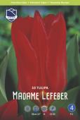 Тюльпан Мадам Лефебер (Tulipa Madame Lefeber), 10 шт (разбор 11/12)