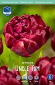 Тюльпан Анкл Том (Tulipa Uncle Tom), 10 шт (разбор 12/14)