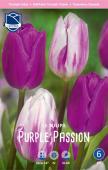 Тюльпан Пёпл Пэшн смесь (Tulipa Purple Passion), 15 шт