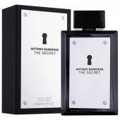 ANTONIO BANDERAS THE SECRET men