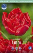 Тюльпан Ларго (Tulipa Largo), 10 шт (разбор 11/12)