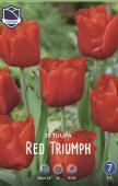 Тюльпан Ред Триумф (Tulipa Red Triumph), 25 шт (разбор 11/12)