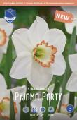 Нарцисс Пижама Пати (Narcissus Pyjama Party), 5 шт (разбор 12/14)