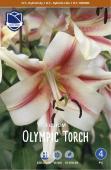 Лилия ОТ-гибрид Олимпик Тотч (Lilium Olympic torch), 3 шт (разбор 16/18)