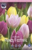 Тюльпан Принц Фестивал смесь (Tulipa Prince Festival), 15 шт