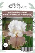 Ирис высокорослый Кофи Уисперз (Coffee Whispers), 1 шт