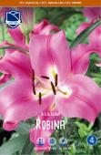 Лилия ОТ-гибрид Робина (Lilium Robina), 3 шт (разбор 16/18)