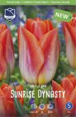 Тюльпан Санрайз Династи (Tulipa Sunrise Dynasty), 10 шт (разбор 12/14)