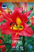 Лилия ОТ-гибрид Эмполи (Lilium Empoli), 3 шт (разбор 16/18)