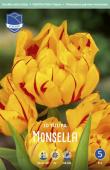 Тюльпан Монселла (Tulipa Monsella), 10 шт (разбор 11/12)