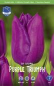 Тюльпан Пёпл Триумф (Tulipa  Purple Triumph), 25 шт (разбор 11/12)