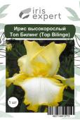 Ирис высокорослый Топ Билинг (Top Bilinge), 1 шт