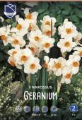 Нарцисс Гераниум (Narcissus Geranium), 5 шт (разбор 12/14)