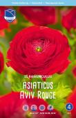 Ранункулюс азиатский Авив Ред (Ranunculus Aviv RED), 15 шт (разбор 7/8)