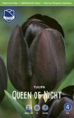 Тюльпан Куин оф Найт (Tulipa Queen of Night), 10 шт (разбор 12/14)