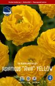 Ранункулюс азиатский Авив Йеллоу (Ranunculus Aviv YELLOW), 15 шт (разбор 7/8)