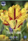 Тюльпан Техас Флейм (Tulipa Texas Flame), 10 шт (разбор 11/12)