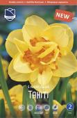 Нарцисс Таити (Narcissus Tahiti), 5 шт (разбор 12/14)