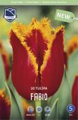 Тюльпан Фабио (Tulipa Fabio), 10 шт (разбор 12/14)