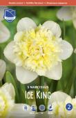 Нарцисс Айс Кинг (Narcissus Ice King), 5 шт (разбор 12/14)