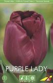 Тюльпан Пёпл Леди (Tulipa Purple Lady), 5 шт (разбор 11/12)