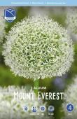 Аллиум Маунт Эверест (Allium Mount Everest), 1 шт (разбор 20/22)