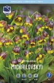 Рябчик Михайловского (Fritillaria michailovskyi), 10 шт (разбор 5/6)